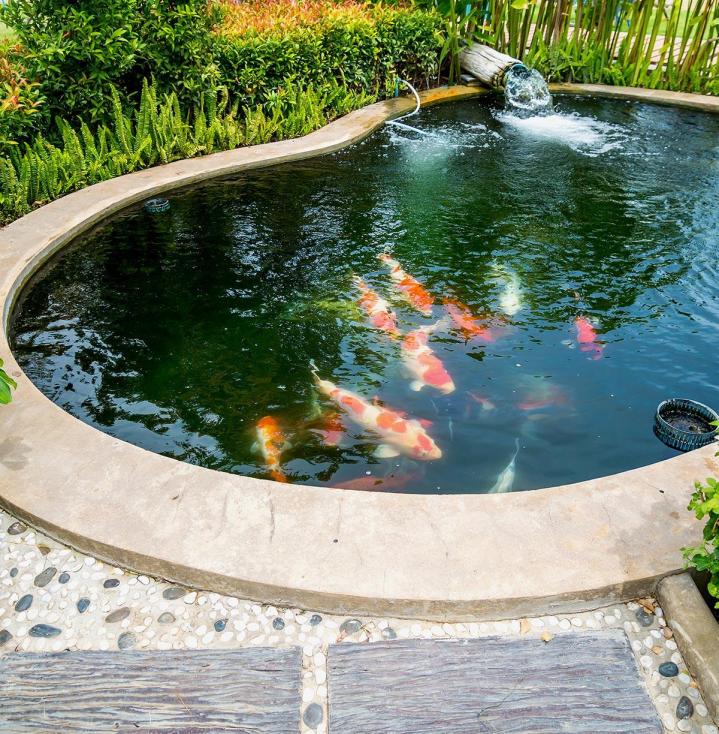 Conception de bassins, d’étangs et de piscines