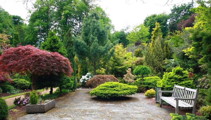 Entretien d’espaces verts Aumale